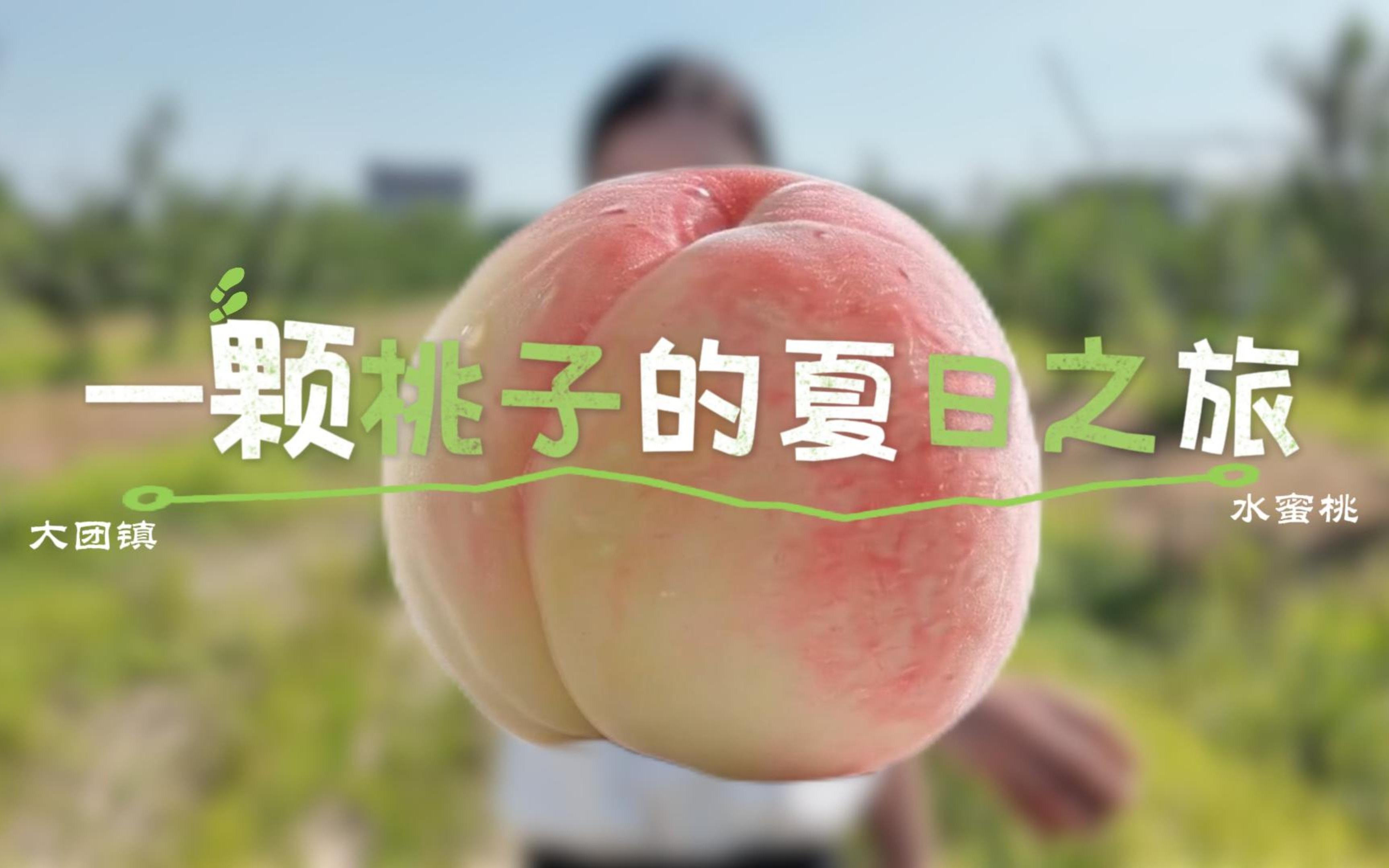 “桃”醉大团，不止一夏