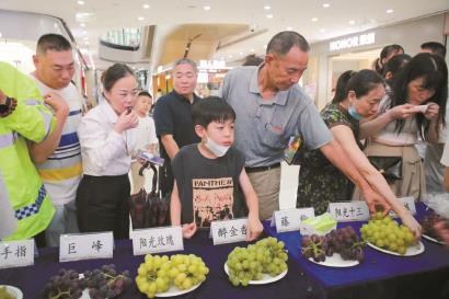 施泉葡萄节活动现场，市民正在品鉴葡萄新品。 受访者供图