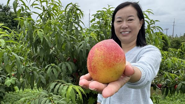行进中国丨联村共富，试验田里长出新日子