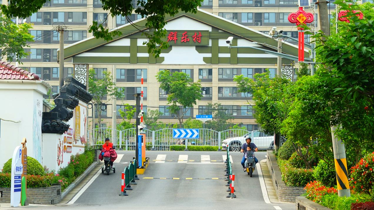 上海近郊乡村群乐村。