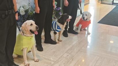金茂大廈舉行工作犬見面會。 杜晨薇攝
