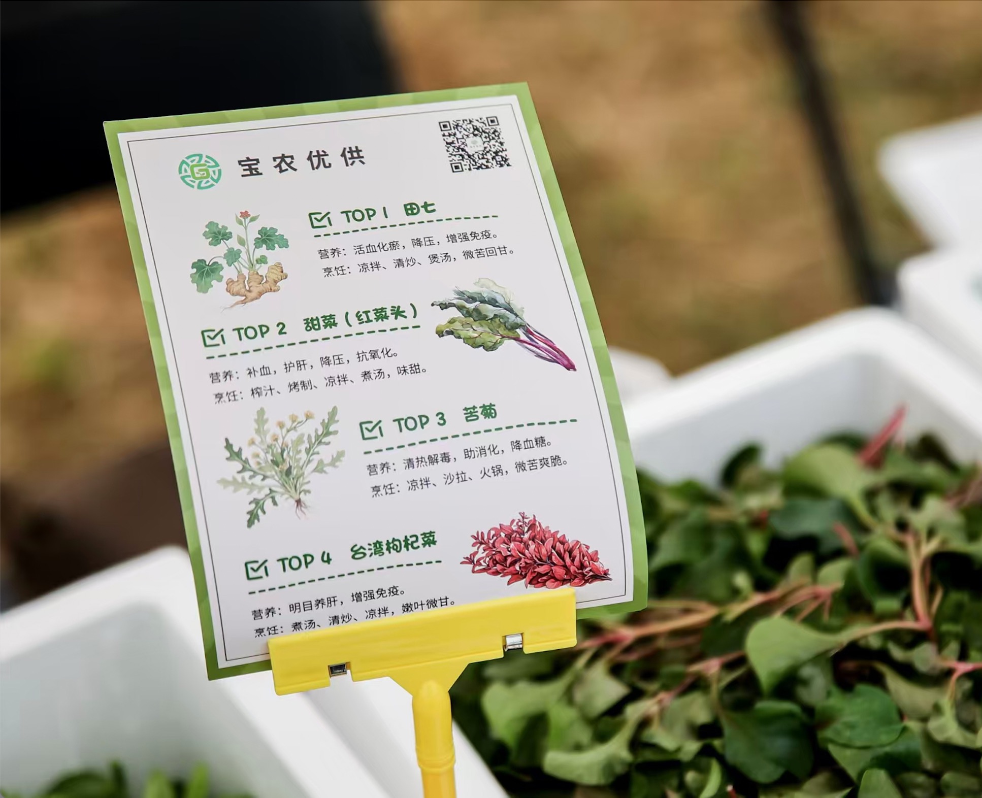 寶山羅涇，解鎖鄉村豐收新體驗/