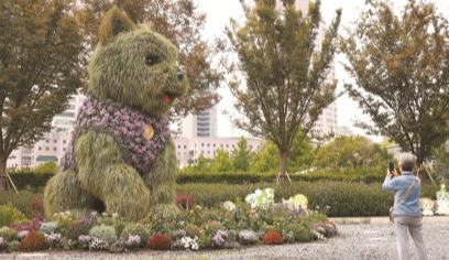 潦草小狗不謝幕 換上限定小背心助陣上海菊花展