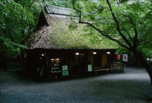 奈良公园的茶店