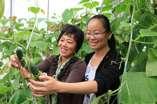 有机蔬菜瓜果助力上海世博会