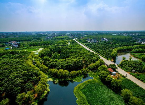 观景、休憩魔都这些开放休闲林地可以去打卡