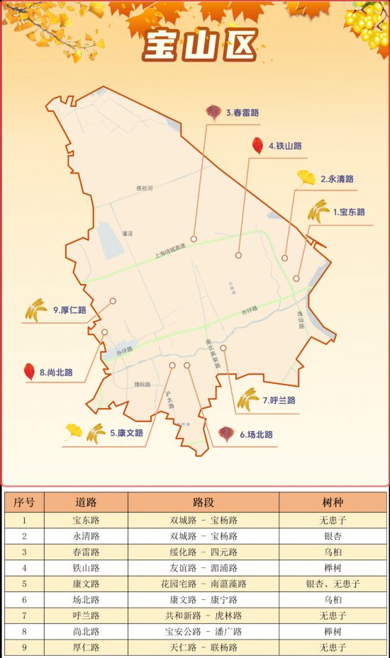 醉美时节，上海2023秋色地图，带来177条秋色观景道路