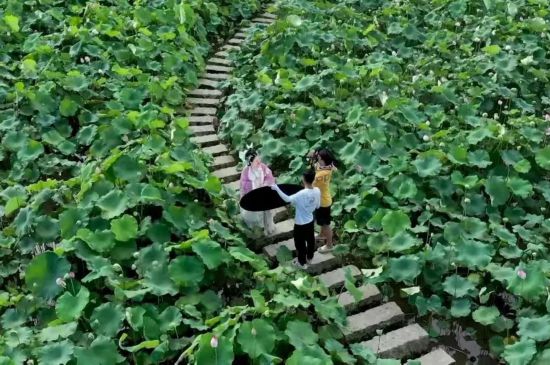 果博平台这个夏天长三角的饱“荷”度拉满啦(图28)