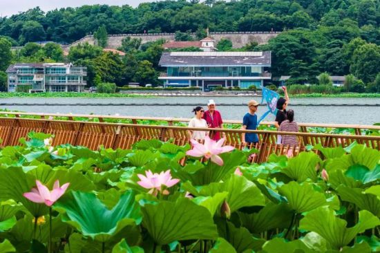 果博平台这个夏天长三角的饱“荷”度拉满啦(图17)