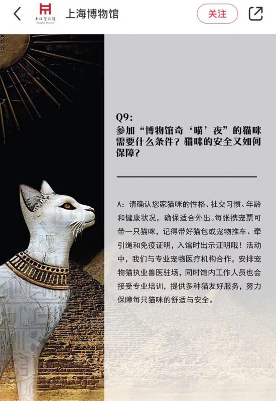 本周末宠物猫将首次在博物馆聚会有主人积极准备但……(图4)