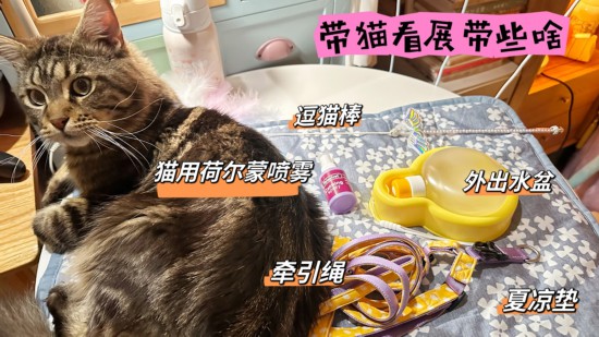 本周末宠物猫将首次在博物馆聚会有主人积极准备但……(图3)