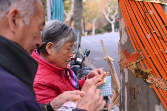 居民直呼“美翻”了！上海这里的落叶不扫街区美景，可线下打卡也可线上查询