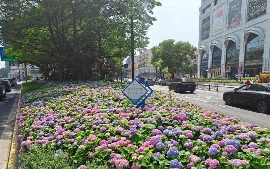 微信图片_20250520140558.jpg