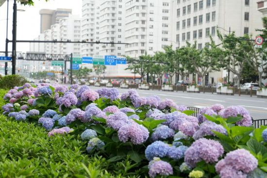 微信图片_20250520101922.jpg