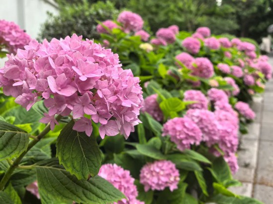 微信图片_20250520104237.jpg