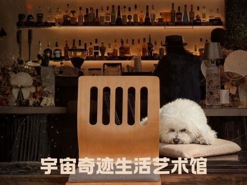 上海市杨浦、黄浦大批惠游福利上线快来解锁(图5)